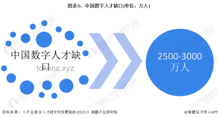 笑纳2025：变装行业的全面适配与创新趋势